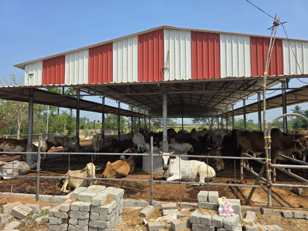 gau_seva_1